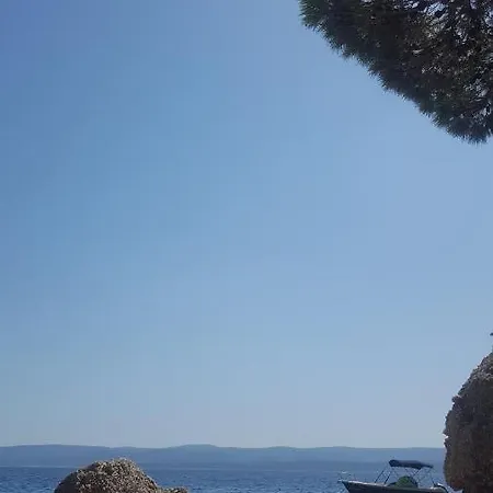 Villa Ana Medici Mimice