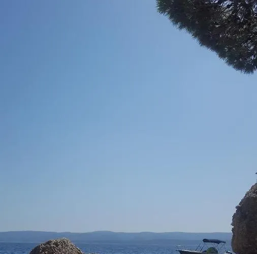 Villa Ana Medici Mimice